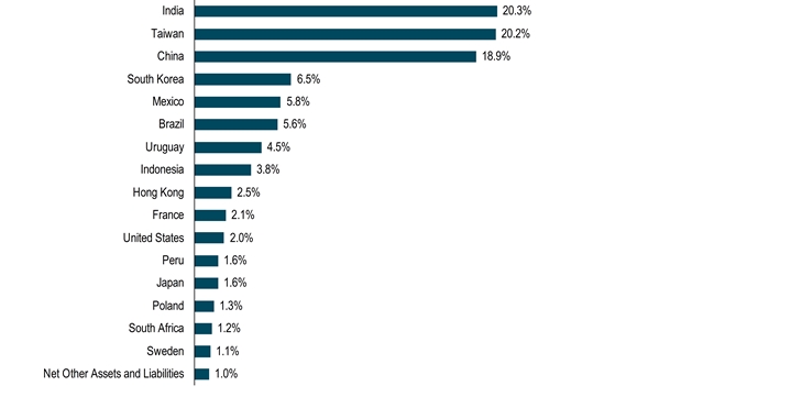 HoldingsByGeographicalRegionData(Net Other Assets and Liabilities:1,Sweden:1.1,South Africa:1.2,Poland:1.3,Japan:1.6,Peru:1.6,United States:2,France:2.1,Hong Kong:2.5,Indonesia:3.8,Uruguay:4.5,Brazil:5.6,Mexico:5.8,South Korea:6.5,China:18.9,Taiwan:20.2,India:20.3)