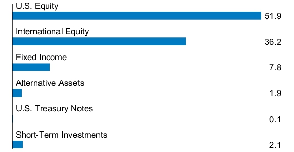 Graphical Representation - Allocation 1 Chart