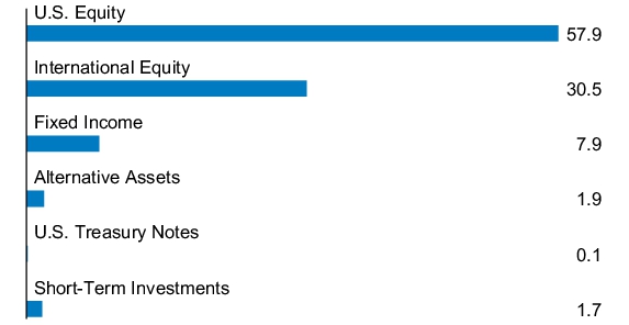 Graphical Representation - Allocation 1 Chart