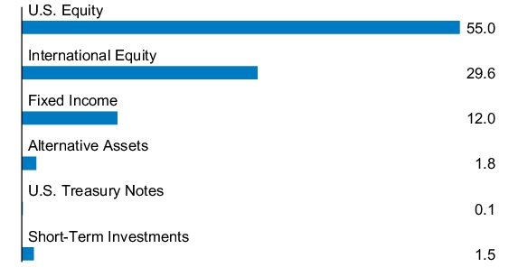 Graphical Representation - Allocation 1 Chart