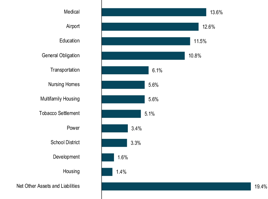 Graphical Representation - Top N Holdings Chart