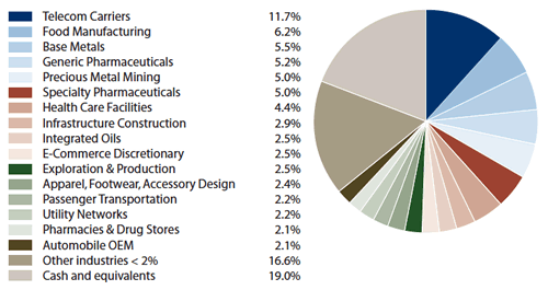 Amana Developing World Fund Portfolio Diversification