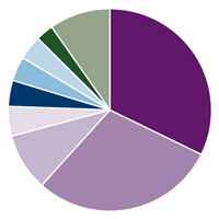 Amana Participation Fund Portfolio Diversification