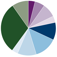 Amana Participation Fund Sukuk Quality Diversification