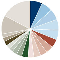 Amana Developing World Fund Portfolio Diversification