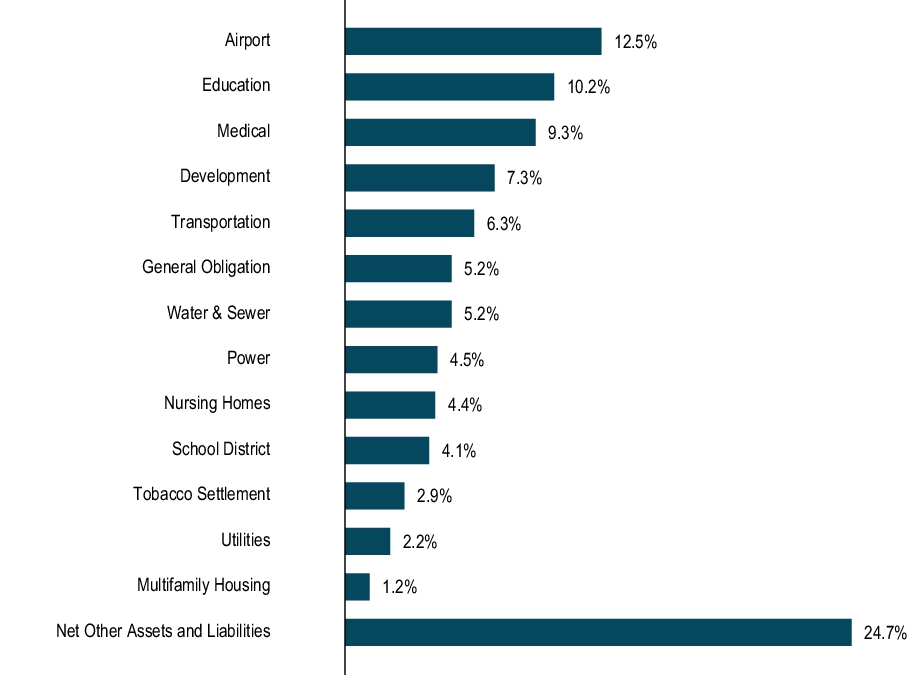 Graphical Representation - Top N Holdings Chart