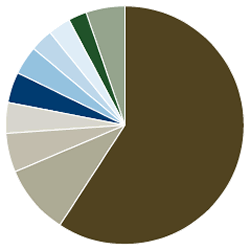 Idaho Tax-Exempt Fund Portfolio Diversification