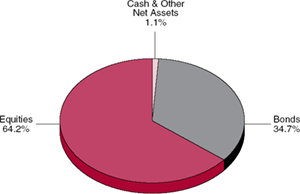 (PIE CHART)