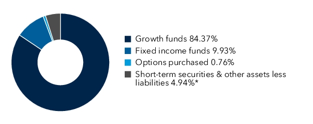 Graphical Representation - Allocation 1 Chart