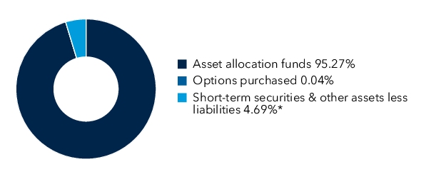 Graphical Representation - Allocation 1 Chart