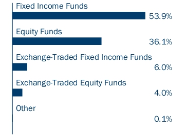 Graphical Representation - Allocation 1 Chart