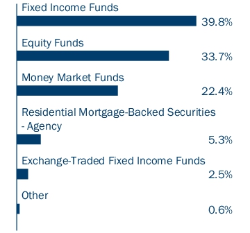 Graphical Representation - Allocation 1 Chart