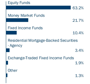 Graphical Representation - Allocation 1 Chart