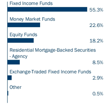 Graphical Representation - Allocation 1 Chart