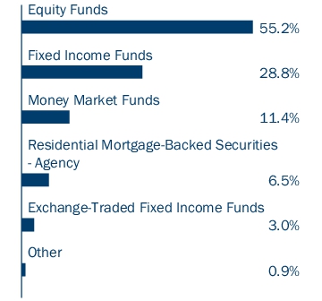 Graphical Representation - Allocation 1 Chart