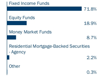 Graphical Representation - Allocation 1 Chart