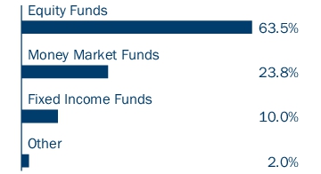 Graphical Representation - Allocation 1 Chart