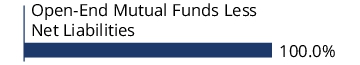 Graphical Representation - Allocation 1 Chart