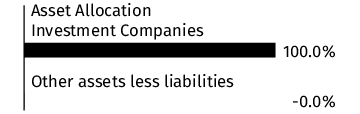 Graphical Representation - Allocation 1 Chart