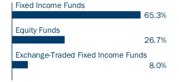 Graphical Representation - Allocation 1 Chart