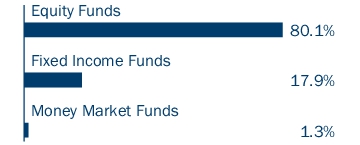 Graphical Representation - Allocation 1 Chart