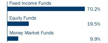 Graphical Representation - Allocation 1 Chart