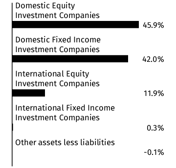 Graphical Representation - Allocation 1 Chart