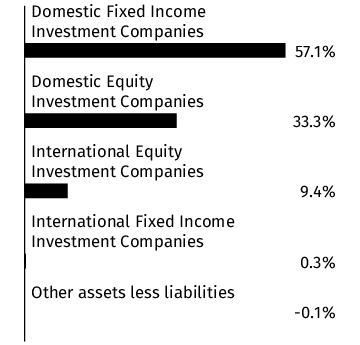 Graphical Representation - Allocation 1 Chart