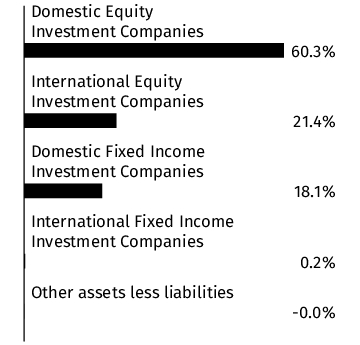 Graphical Representation - Allocation 1 Chart