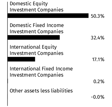 Graphical Representation - Allocation 1 Chart