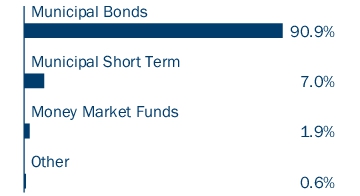 Graphical Representation - Allocation 1 Chart