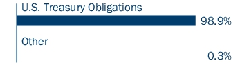 Graphical Representation - Allocation 1 Chart