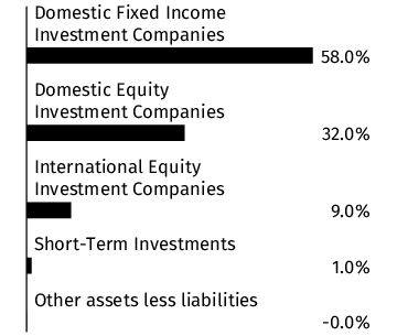 Graphical Representation - Allocation 1 Chart