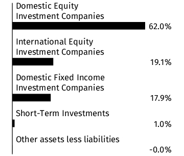 Graphical Representation - Allocation 1 Chart