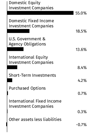 Graphical Representation - Allocation 1 Chart