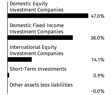 Graphical Representation - Allocation 1 Chart