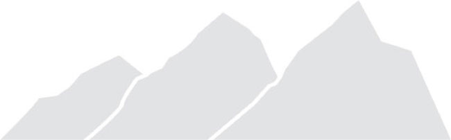 (ALPINE LOGO)