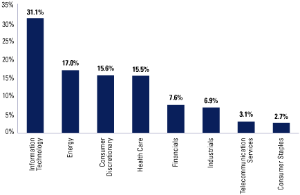 (EQUITY SECTOR ALLOCATION BAR CHART)