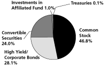 (Calamos Strategic Total Return Fund Pie Chart)