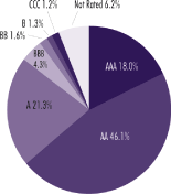 (PIE CHART)