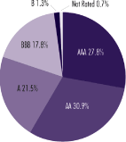 (PIE CHART)