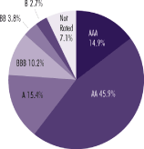 (PIE CHART)