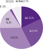 (Pie chart)