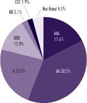 (PIE CHART)