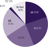 (PIE CHART)