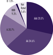 (PIE CHART)