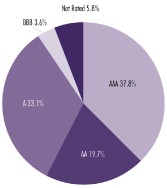 (PIE CHART)