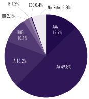 (PIE CHART)