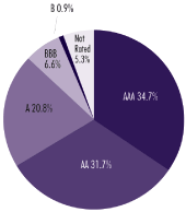 (PIE CHART)