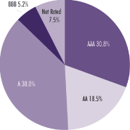 (PIE CHART)